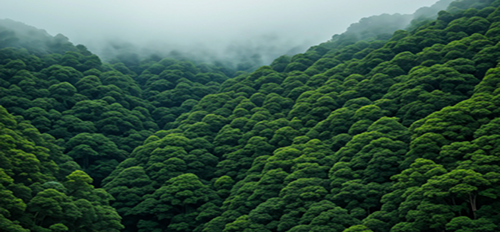 Sustainability